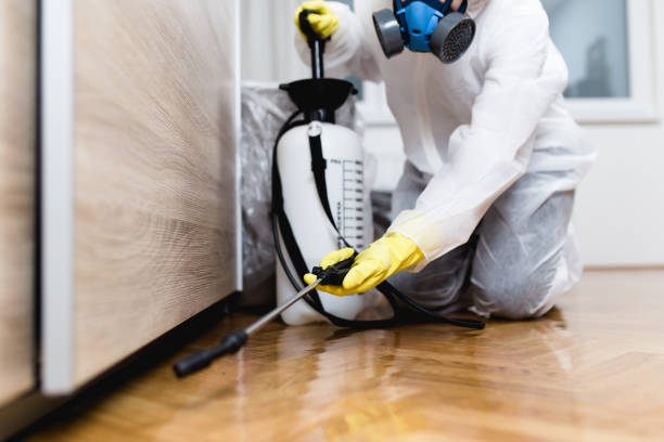 Best Mosquito Control Services  in Valdosta, GA