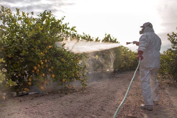 Best Residential Pest Control  in Valdosta, GA