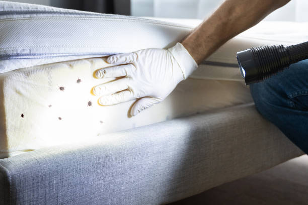 Best Affordable Pest Control Services  in Valdosta, GA