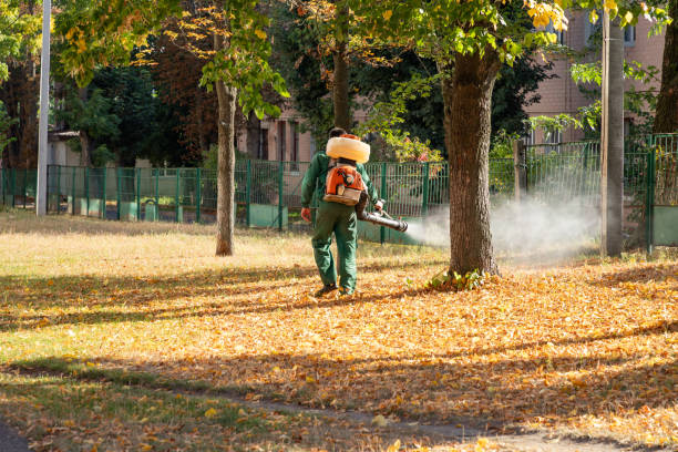 Best Cockroach Control Services  in Valdosta, GA