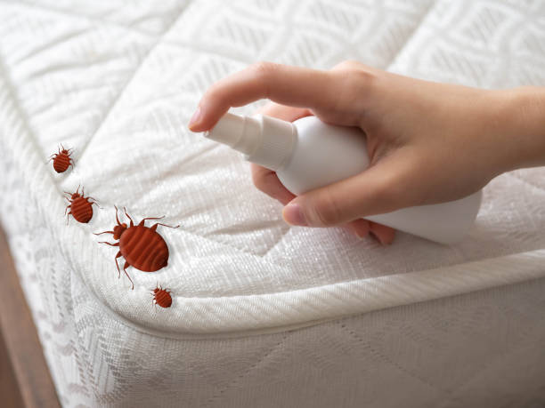 Best Pest Control Near Me in Valdosta, GA