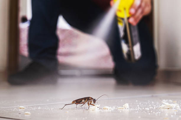 Best Bed Bug Extermination  in Valdosta, GA