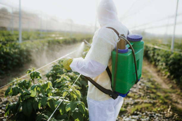 Best Wasp Removal Services  in Valdosta, GA